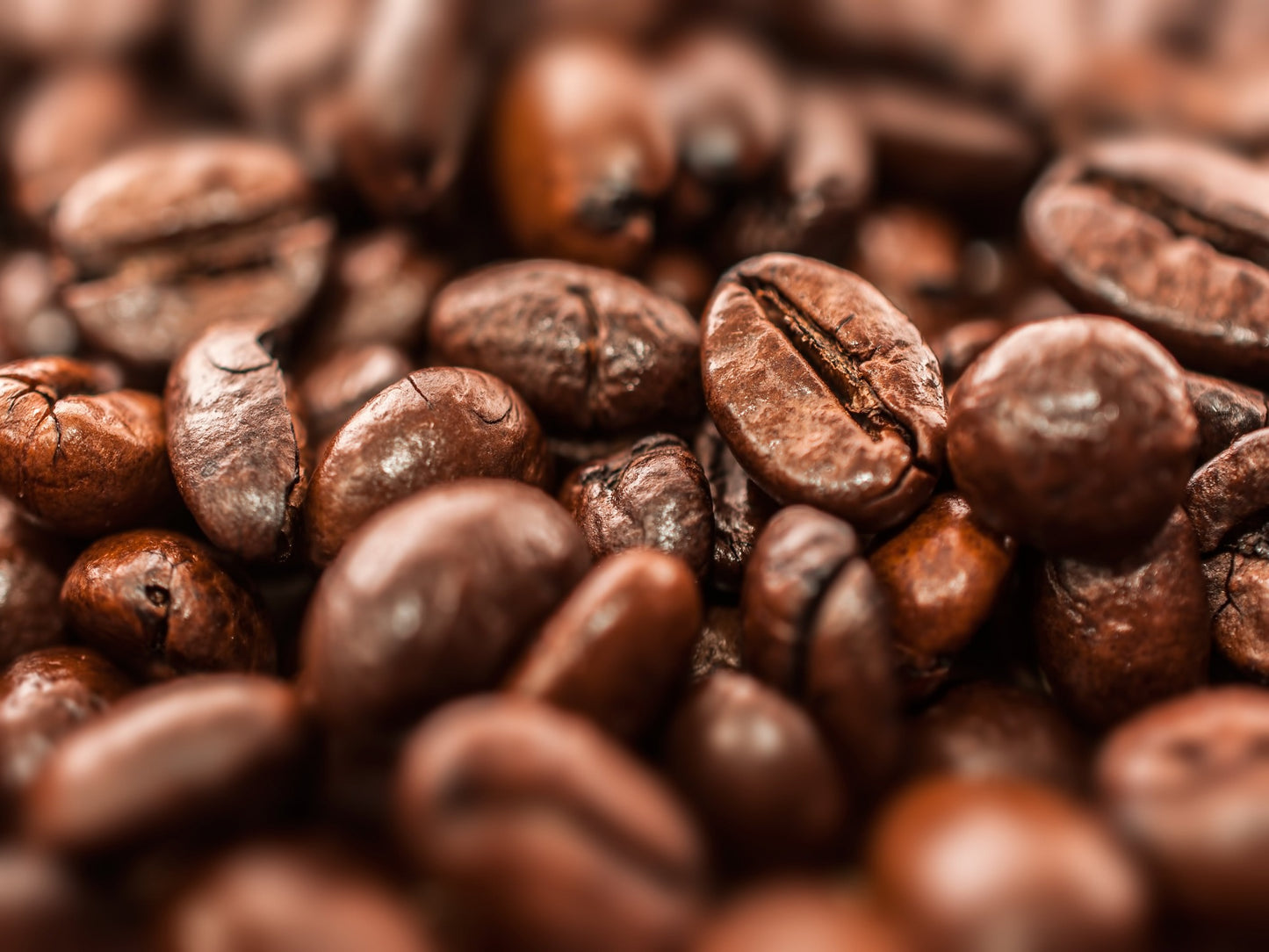 Close up of coffee beans