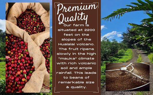 premium quality coffee graphic