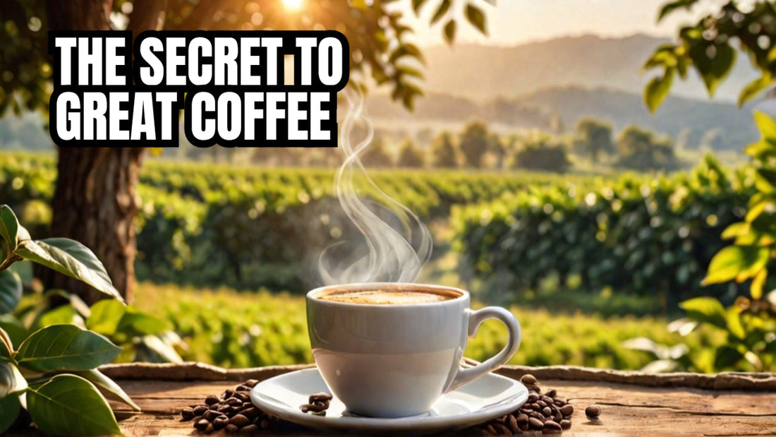 steaming cup of coffee sitting on a table with a Kona coffee farm in the background