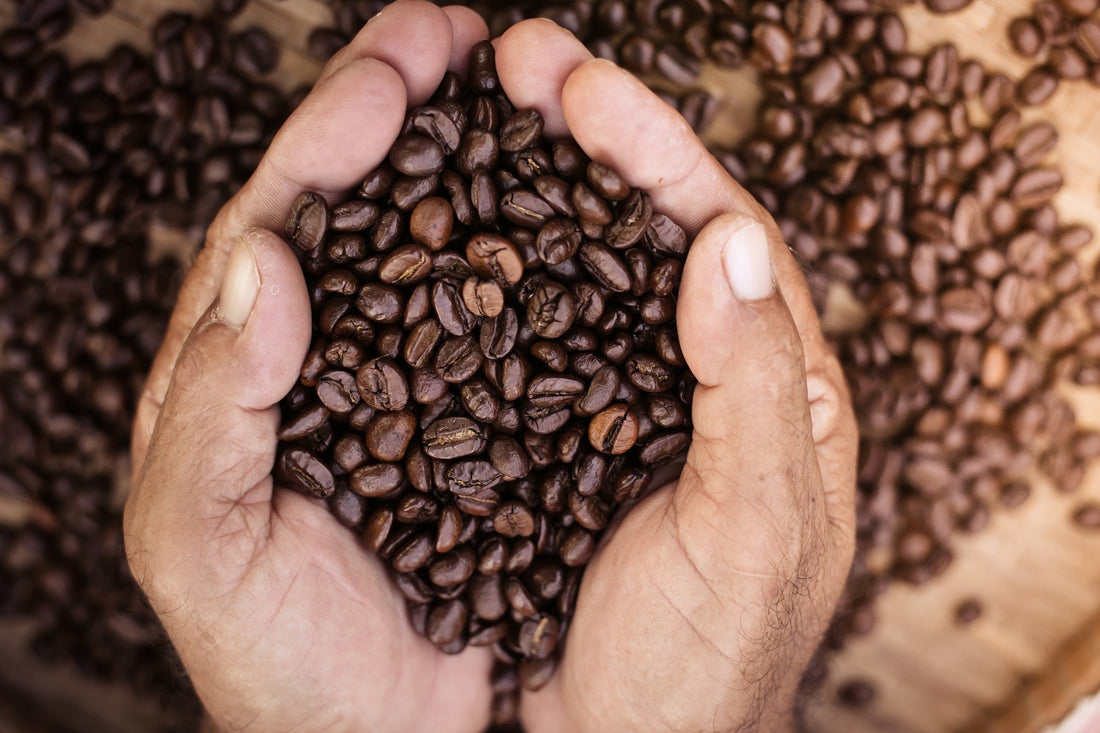 Why Choose Whole Bean Coffee for a Better Cup
