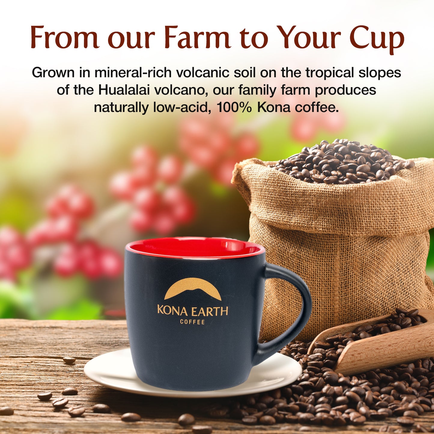 100% Kona Peaberry Coffee (16 oz) Currently Out of Stock