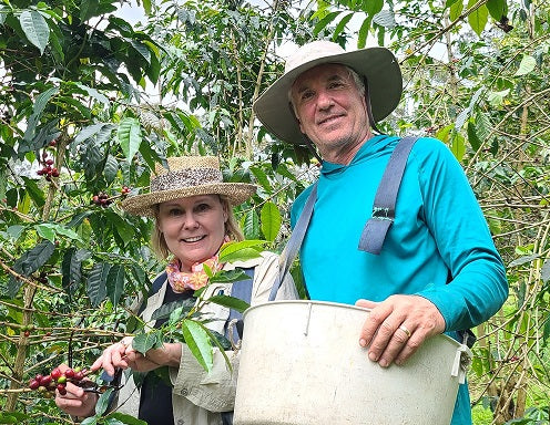 Steve and Joanie Wynn picking coffee at Kona Earth farm