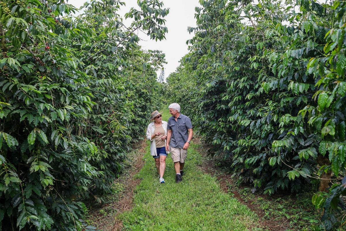 2 people walking on a coffee farm