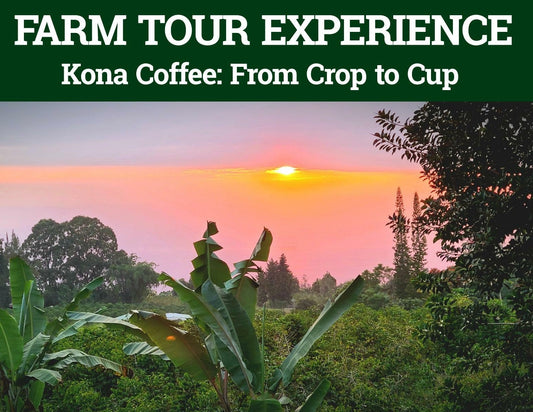 VIP Private Kona Coffee Farm Tour Experience - Kona Earth Coffee